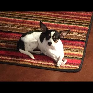 Meet your Posher, Kay